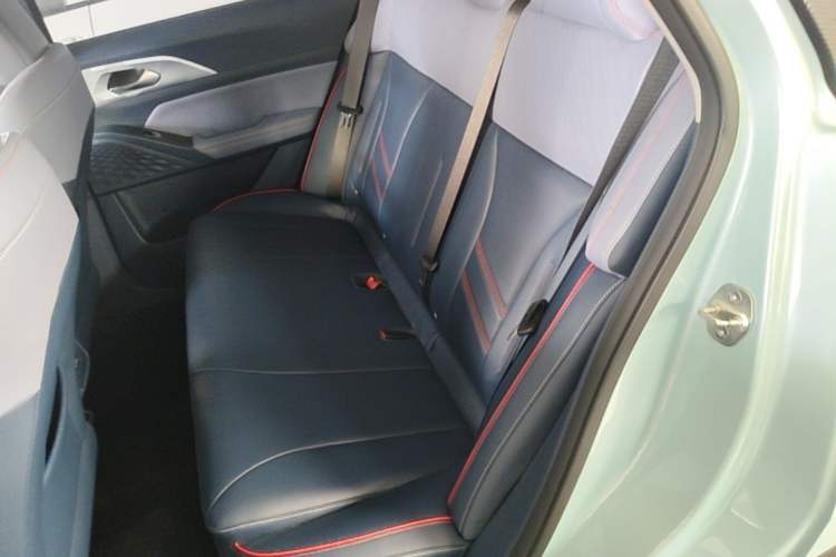 Used Geometry E Firefly 2022 401 km Linglong Tiger 5 Seats Left Rear Seat
