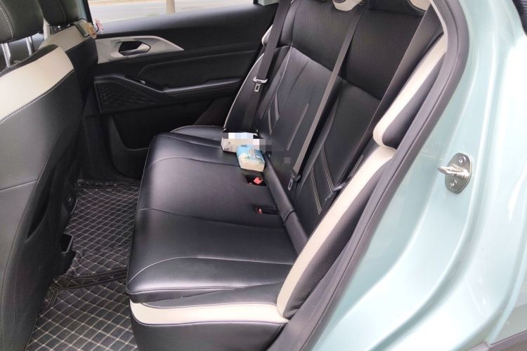 Used Geometry E Firefly 2022 401 km Linglong Tiger 5 Seats Left Rear Seat