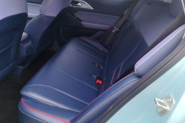 Used Geometry E Firefly 2022 401 km Linglong Tiger 4 Seats Left Rear Seat