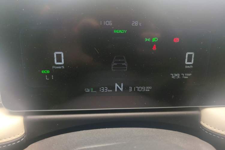 Used Geometry E Firefly 2022 320KM Cute Tiger 4-Seater Odometer Close Up