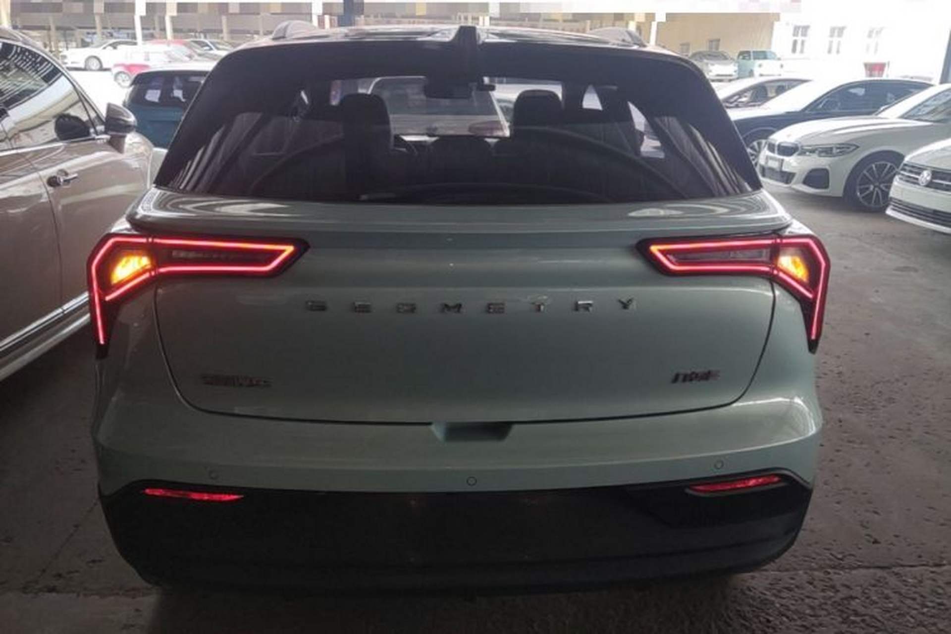 Used Geometry E Firefly 2022 401KM Lightning Tiger 4-Seater Rear