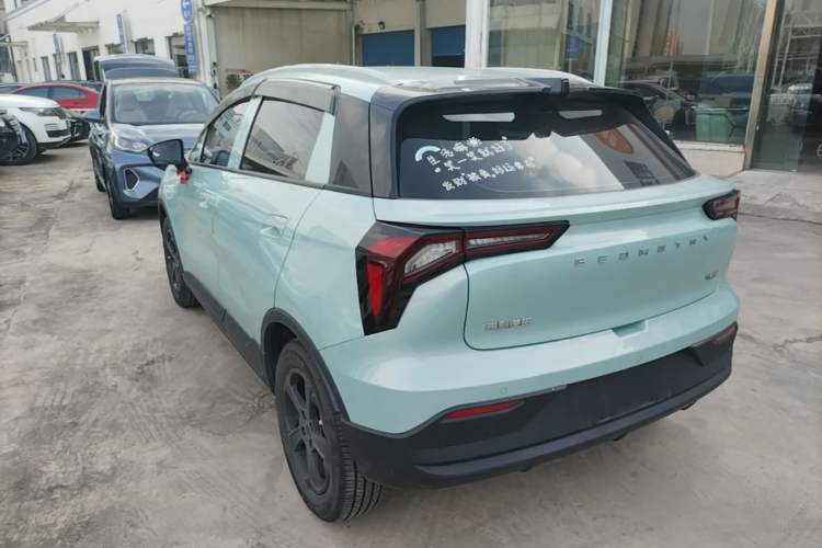Used Geometry E Firefly 2022 401 km Linglong Tiger 4 Seats Rear Left 45 Deg