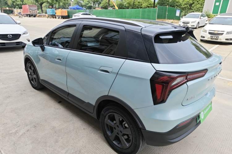 Used Geometry E Firefly 2022 401 km Linglong Tiger 4 Seats Rear Left 45 Deg