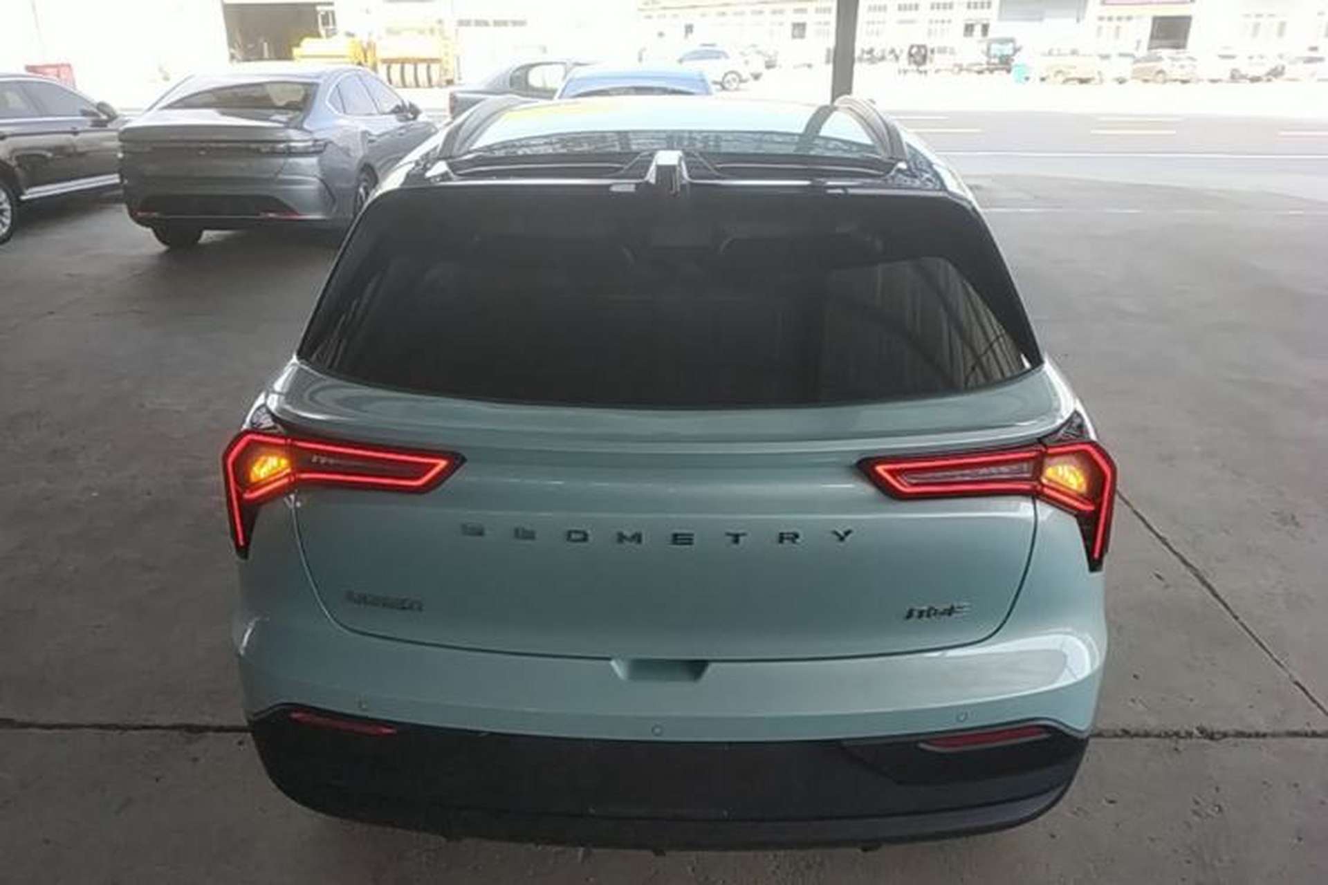 Used Geometry E Firefly 2022 401 km Linglong Tiger 4 Seats Rear