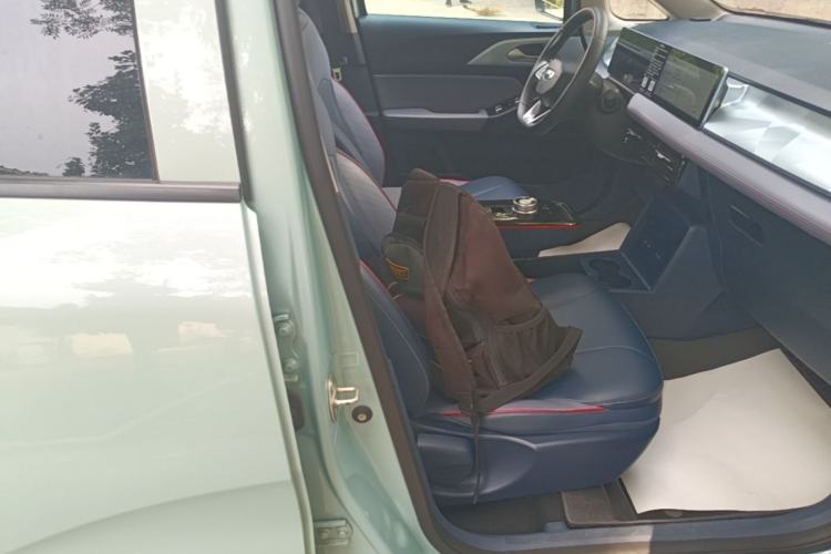 Used Geometry E Firefly 2022 401 km Linglong Tiger 5 Seats Right Front Seat