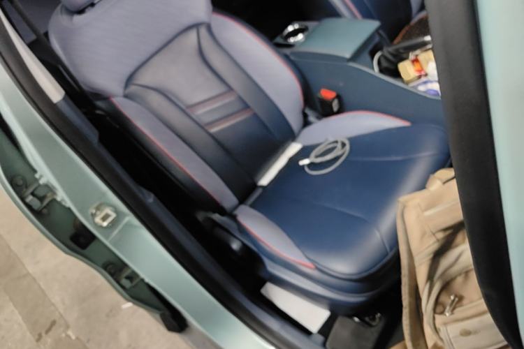 Used Geometry E Firefly 2022 320KM Cute Tiger 4-Seater Right Front Seat