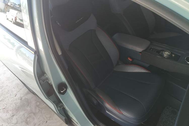 Used Geometry E Firefly 2022 401 km Linglong Tiger 4 Seats Right Front Seat