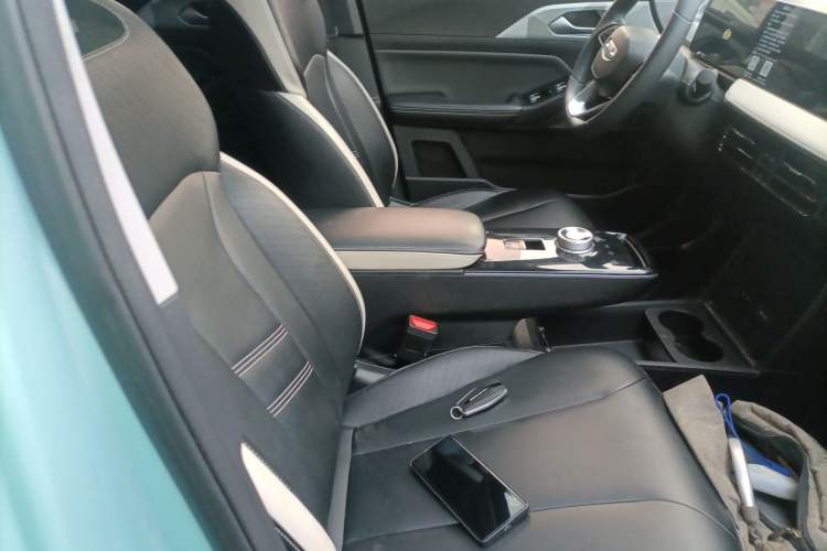 Used Geometry E Firefly 2022 401 km Linglong Tiger 4 Seats Right Front Seat