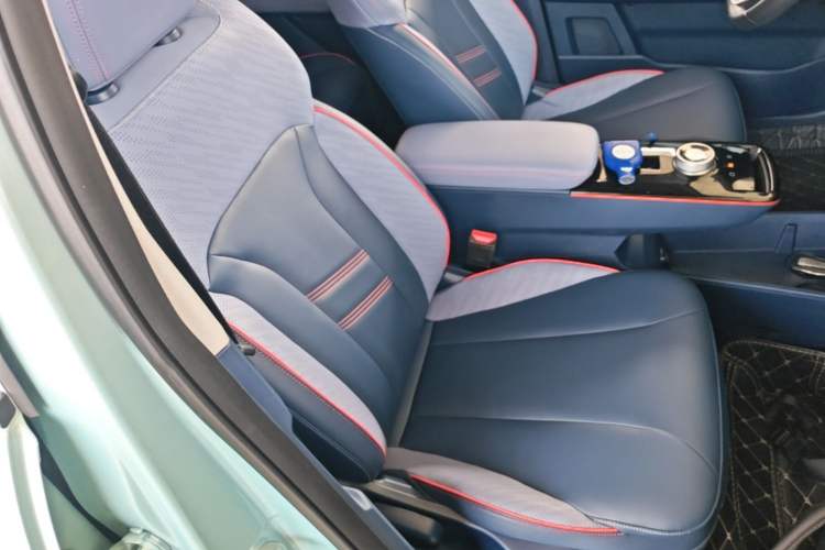 Used Geometry E Firefly 2022 401 km Linglong Tiger 4 Seats Right Front Seat