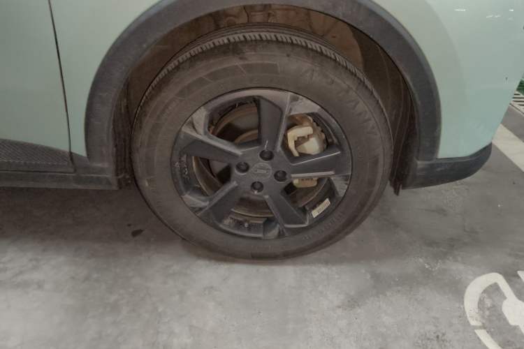 Used Geometry E Firefly 2022 401 km Linglong Tiger 4 Seats Right Front Wheel Hub