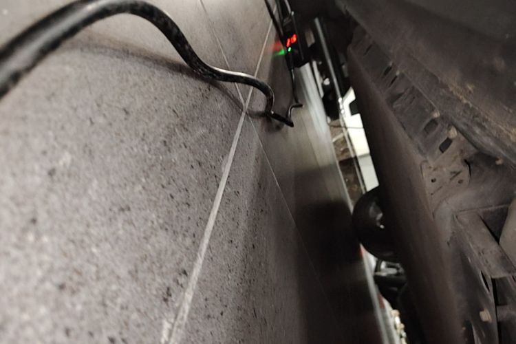 Used Geometry E Firefly 2022 320KM Cute Tiger 4-Seater Right Side Sill