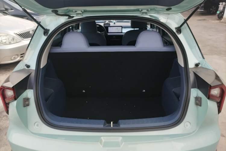 Used Geometry E Firefly 2022 401 km Linglong Tiger 4 Seats Trunk