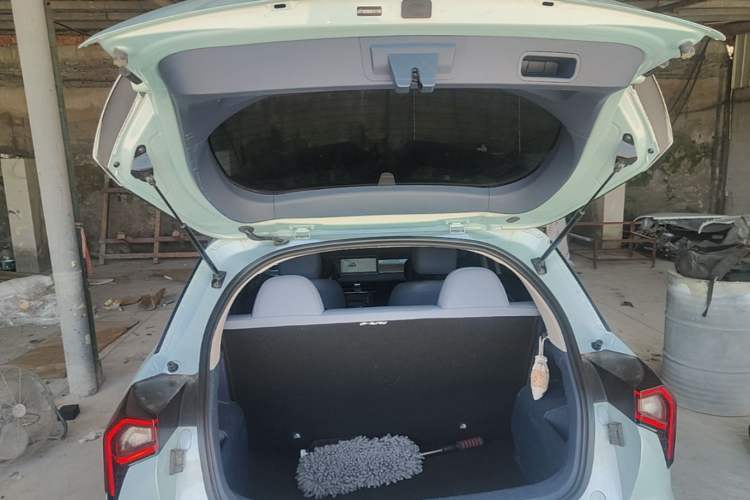Used Geometry E Firefly 2022 401 km Linglong Tiger 4 Seats Trunk