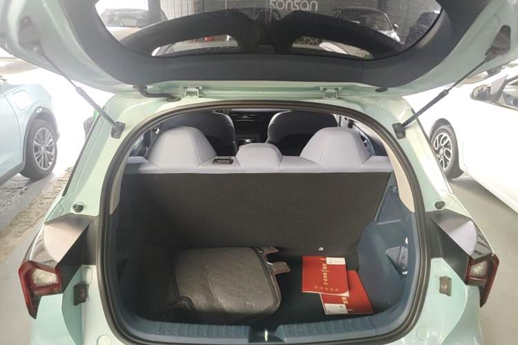 Used Geometry E Firefly 2022 401 km Linglong Tiger 5 Seats Trunk