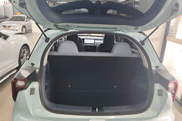 Used Geometry E Firefly 2022 401 km Linglong Tiger 4 Seats Trunk
