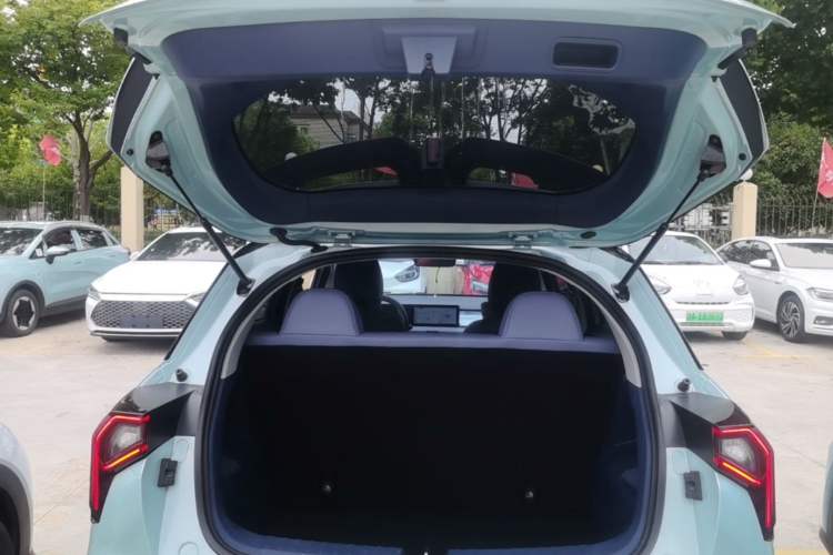 Used Geometry E Firefly 2022 401 km Linglong Tiger 4 Seats Trunk