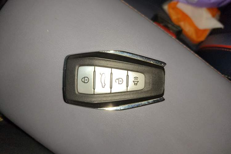 Used Geometry E Firefly 2022 401 km Linglong Tiger 4 Seats Vehicle Key