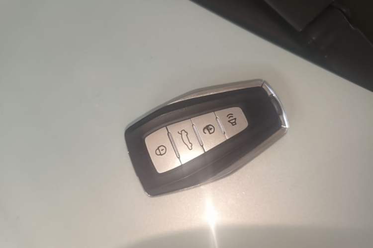 Used Geometry E Firefly 2022 401 km Linglong Tiger 5 Seats Vehicle Key