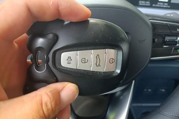 Used Geometry E Firefly 2022 401 km Linglong Tiger 5 Seats Vehicle Key