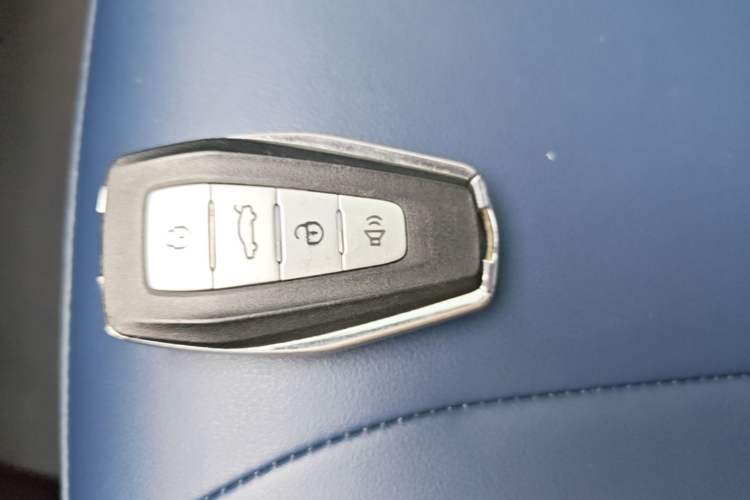 Used Geometry E Firefly 2022 401 km Linglong Tiger 4 Seats Vehicle Key