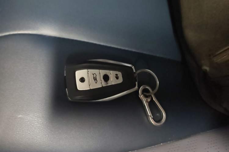 Used Geometry E Firefly 2022 401 km Linglong Tiger 4 Seats Vehicle Key