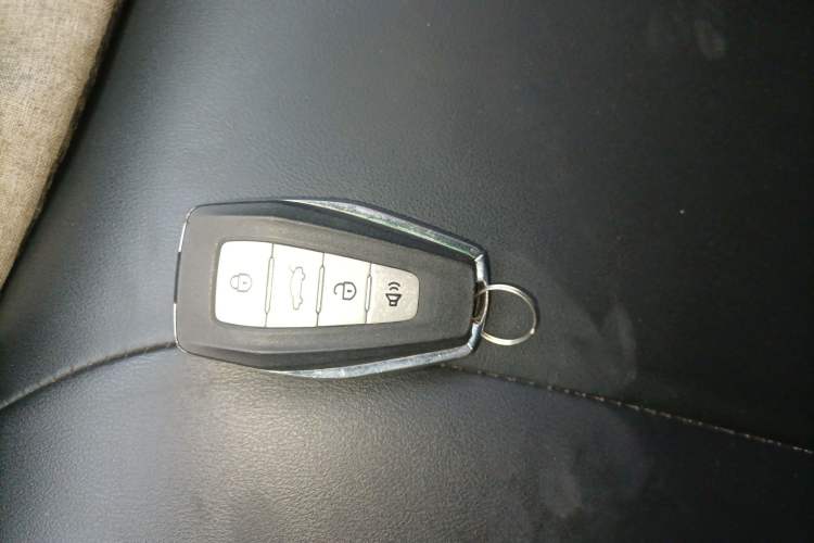 Used Geometry E Firefly 2022 401 km Linglong Tiger 4 Seats Vehicle Key