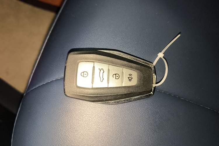 Used Geometry E Firefly 2022 401KM Lightning Tiger 4-Seater Vehicle Key