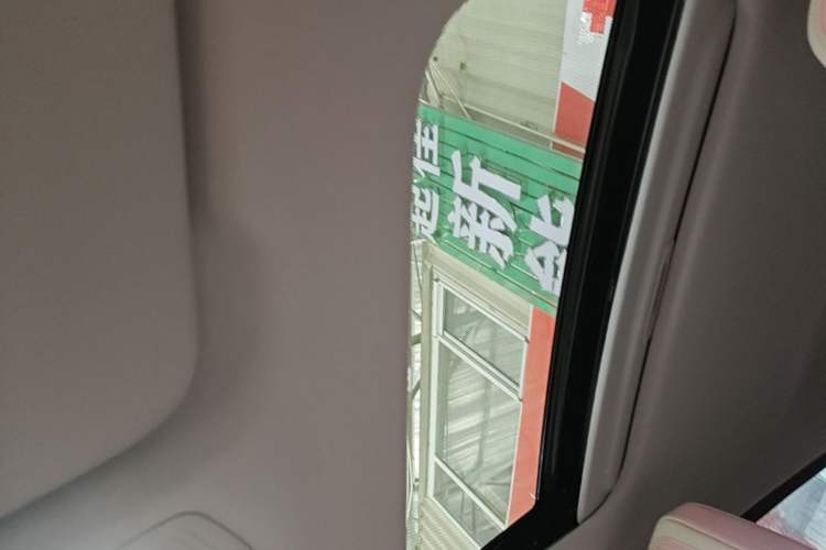 Used Geometry E Firefly 2022 401 km Linglong Tiger 4 Seats Headliner