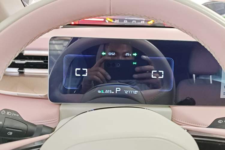 Used Geometry E Firefly 2022 401 km Linglong Tiger 4 Seats Instrument Cluster