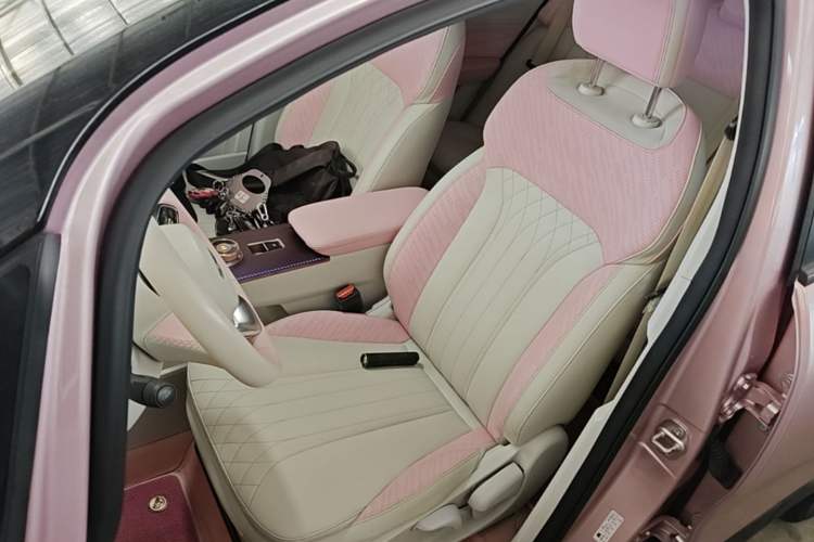 Used Geometry E Firefly 2022 401 km Linglong Tiger 4 Seats Left Front Seat