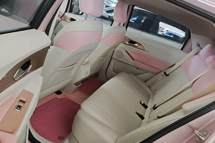 Used Geometry E Firefly 2022 401 km Linglong Tiger 4 Seats Left Rear Seat
