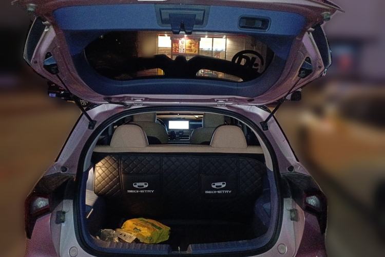 Used Geometry E Firefly 2022 401 km Linglong Tiger 4 Seats Trunk