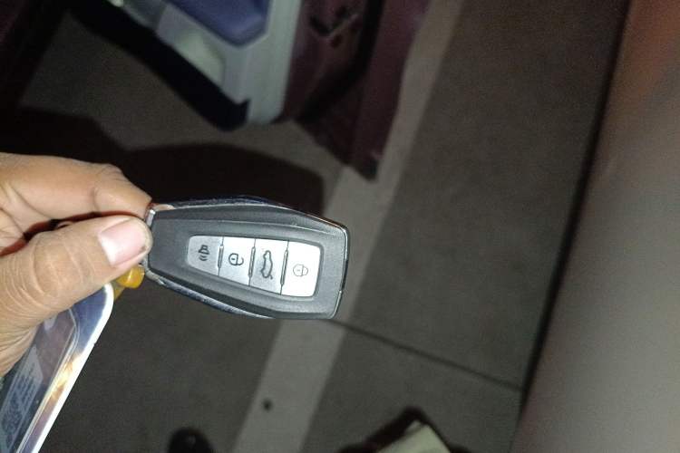 Used Geometry E Firefly 2022 401 km Linglong Tiger 4 Seats Vehicle Key