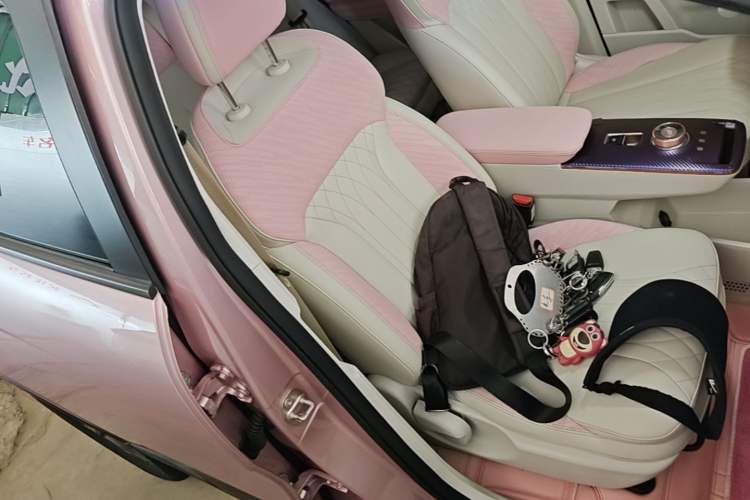 Used Geometry E Firefly 2022 401 km Linglong Tiger 4 Seats Right Front Seat