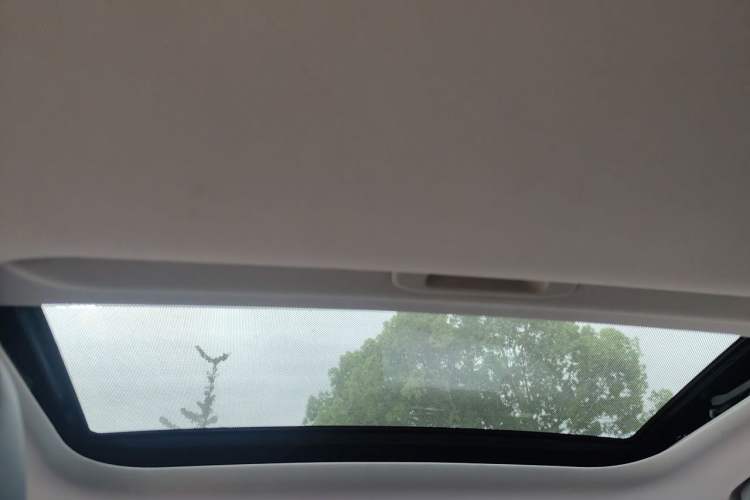 Used Geometry E Firefly 2022 401KM Lightning Tiger 4-Seater Headliner