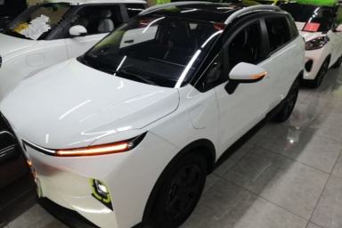 Used Geometry E Firefly 2022 401 km Linglong Tiger 4 Seats