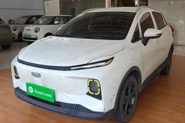 Used Geometry E Firefly 2022 320KM Cute Tiger 4-Seater