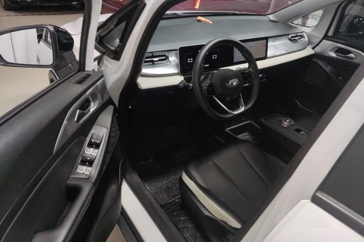 Used Geometry E Firefly 2022 401 km Linglong Tiger 4 Seats Driver Seat