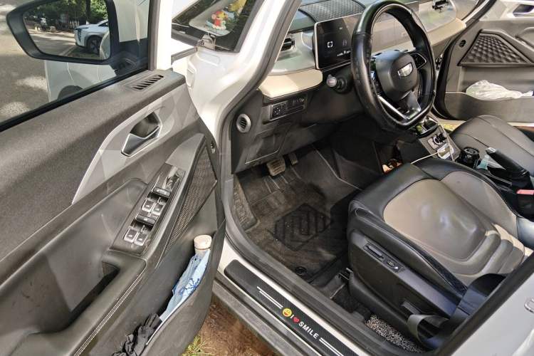 Used Geometry E Firefly 2022 320KM Cute Tiger 4-Seater Driver Seat