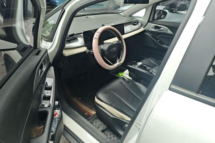 Used Geometry E Firefly 2022 401 km Linglong Tiger 4 Seats Driver Seat
