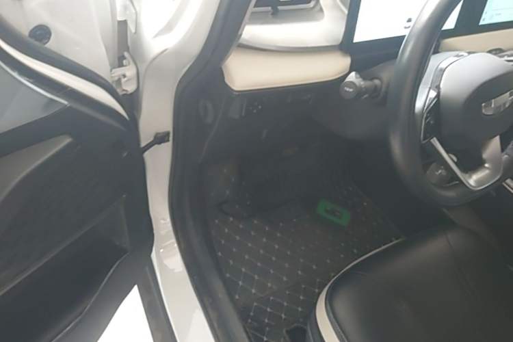 Used Geometry E Firefly 2022 401KM Lightning Tiger 4-Seater Driver Seat