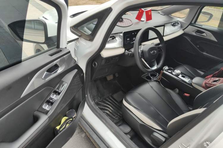 Used Geometry E Firefly 2022 401 km Linglong Tiger 4 Seats Driver Seat