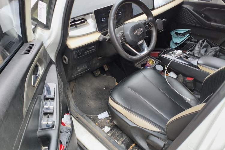 Used Geometry E Firefly 2022 401 km Linglong Tiger 4 Seats Driver Seat