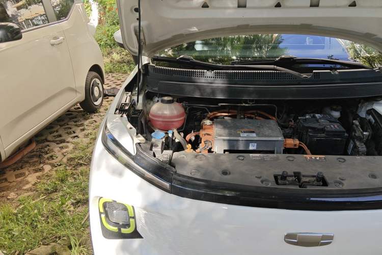 Used Geometry E Firefly 2022 320KM Cute Tiger 4-Seater Engine Bay Right