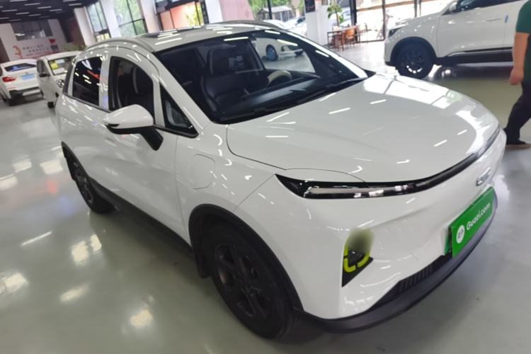 Used Geometry E Firefly 2022 401 km Linglong Tiger 4 Seats Front Right 45 Deg
