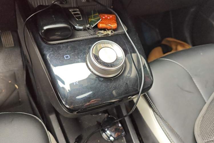 Used Geometry E Firefly 2022 320KM Cute Tiger 4-Seater Gear Lever