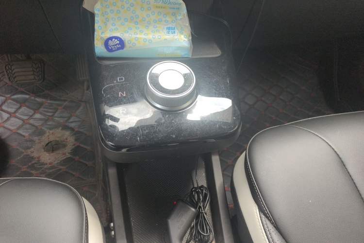 Used Geometry E Firefly 2022 320KM Cute Tiger 4-Seater Gear Lever