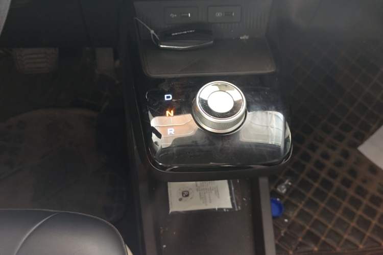Used Geometry E Firefly 2022 320KM Cute Tiger 4-Seater Gear Lever