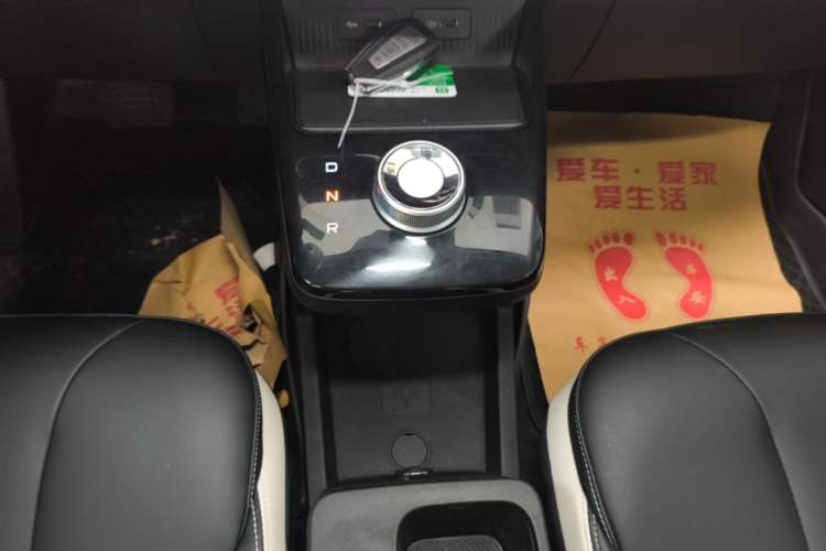 Used Geometry E Firefly 2022 320KM Cute Tiger 4-Seater Gear Lever