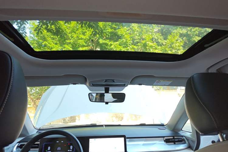 Used Geometry E Firefly 2022 401 km Linglong Tiger 4 Seats Headliner
